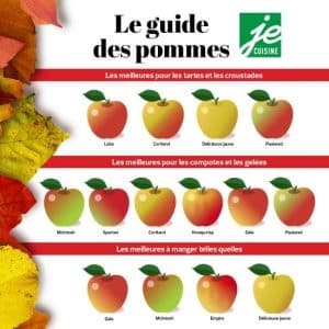 Comment Choisir La Meilleure Pomme Pour Confectionner Du Cidre Blog De Jardinage